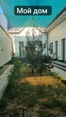 Уй сотилади 3.1 сотик 1