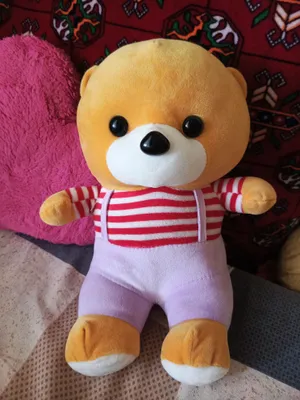 Новая мягкая игрушка продаётся за 35 000