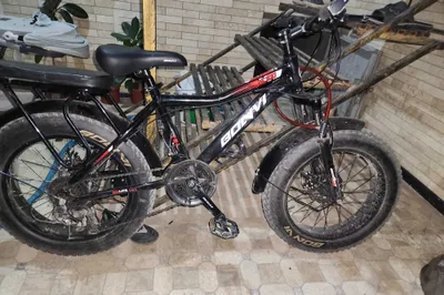 Velosiped detskiy 1