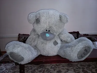 Kulrang Teddy yumshoq ayiqchasi 1