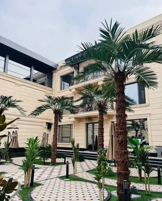 Qashqadaryo | Hovli dizayni uchun suniy palma 3-8m skidka -33% 1