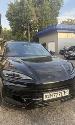 byd qora 2024 song plus champion 1