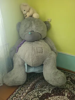 Teddy ayiq sotiladi narxini kelishamiz 1