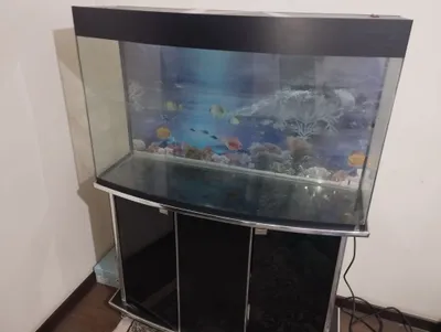 Akvarium patstavkasi bilan 1