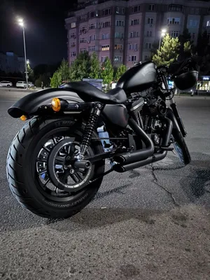 Harley Davidson sportster 1200 iron custom 1