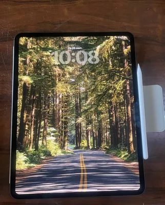 iPad Pro 13 M5, 256 GB, qora 1