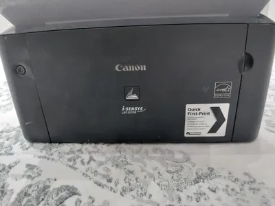 принтер Canon 3010 1
