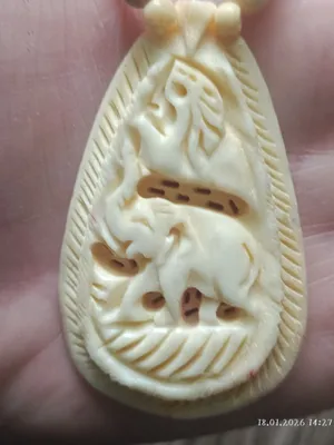 Fil suyagidan marjon 1