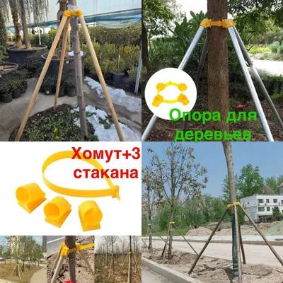 Опора для дерева с хомутом 1