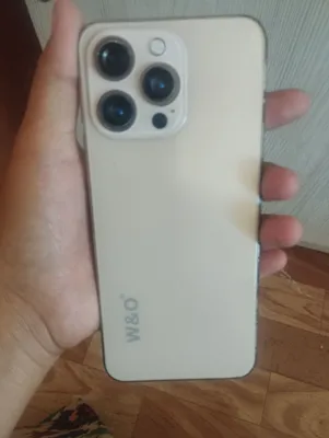 W/O X16 pro 1