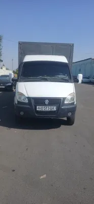 Газель йили 2005 1