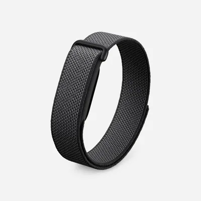 Google fitbit air 1