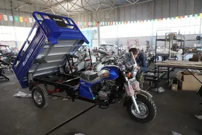 Самый первый владелец!!! Грузовой мотоцикл, «Муравей», мотороллер, трицикл REALMOTO 1