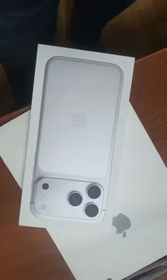 iPhone 17 Pro Max, серебристый 1