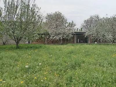 Uchastka sotiladi (srochno)