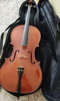 Виолончель 4/4 otto jos clier 1