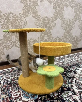 Кошачий домик в продаже 1