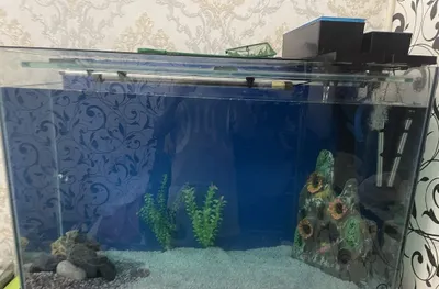 Tokcha va jihozlari bilan 320–330 litrli akvarium 1
