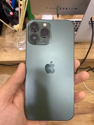iPhone 13 Pro Max