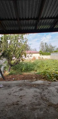 Uzbankenti, Siyob ko‘chasi, 7 sotixli yer uchastkasi sotiladi 1