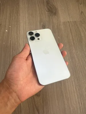 iphone 13 pro max 1