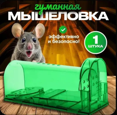 Gumanitar sichqon tutqich 1