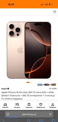 Идеальный iPhone 16 Pro Max