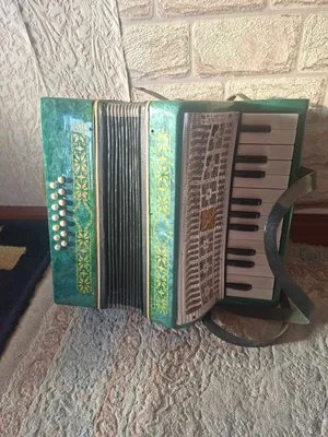 Детский аккордеон "Малыш" 1