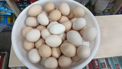 Продаются домашние куриные яйца 1