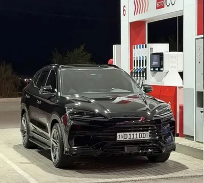 Byd champion 150 1