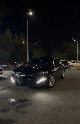 Malibu Premier 2019 1