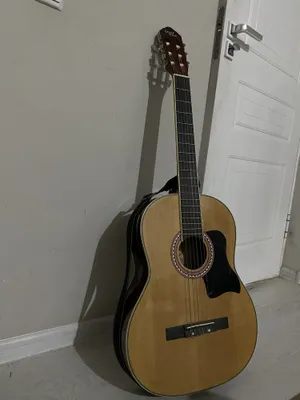Gitara chehol 40 ramerda 1