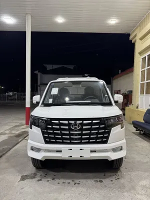 2026. Changan star puls 1