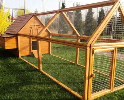 Клетки для петухов и канареек 1