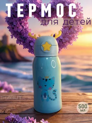 Somonchali bolalar termos-idishi, 500 ml 1