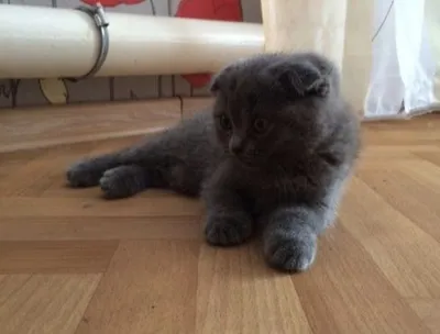 saunada juftliklar porno