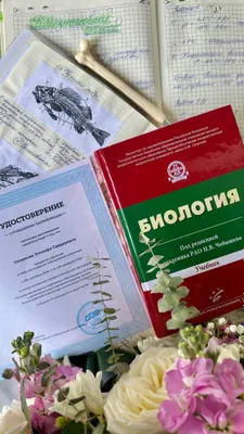 Репетитор по Биологии