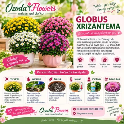Globus xirzatema 1
