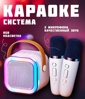 Bolalar uchun karaoke kolonka va 2 ta mikrofon 1