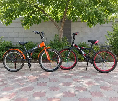 velosiped 20 razmer