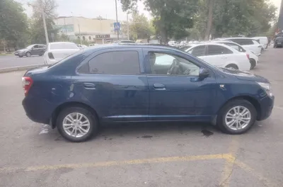 Arenda cobalt suxoy 1