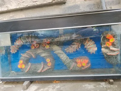 Аквариум продаётся 1