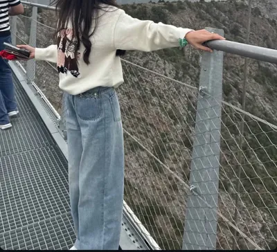 Шим 1