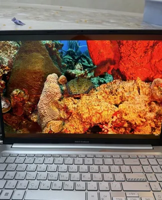 Asus Vivobook core i5 512GB/16GB 1