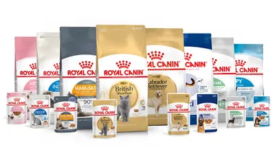 Hayvonlar uchun royal canin
