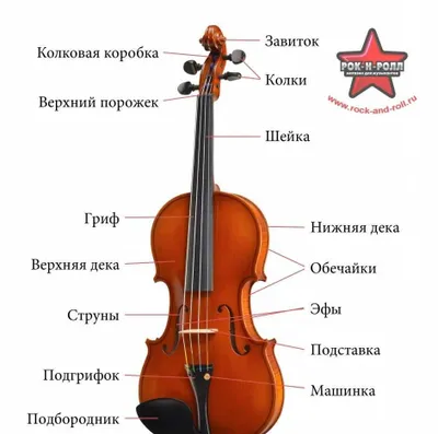 Скрипка 1/4 1/8 1/2 3/4 4/4 1
