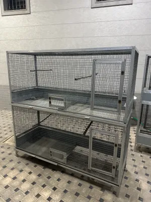 valer qafas kletka 6