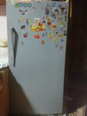 Saratov muzlatgichi sotiladi 1