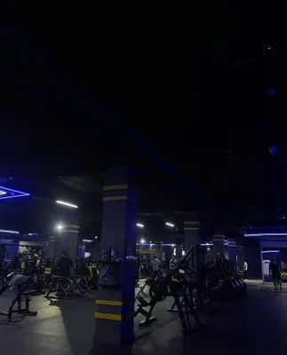 Абонемент в Lemon fit на 3 месяца