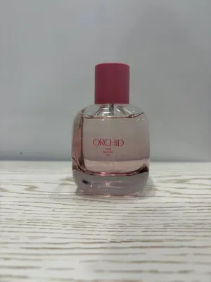 Orchid. Zara. 1